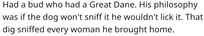 8. Using dogs to gauge people's personalities doesn't always go as expected.