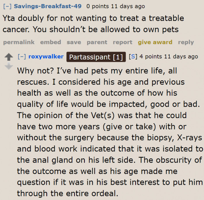Although she gets criticized for owning a dog, the OP still defends her decision to get one.