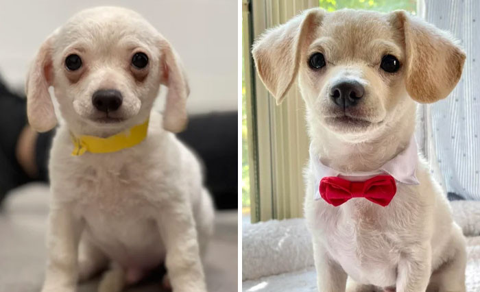 26. The Day We Met vs. 2 Months Later