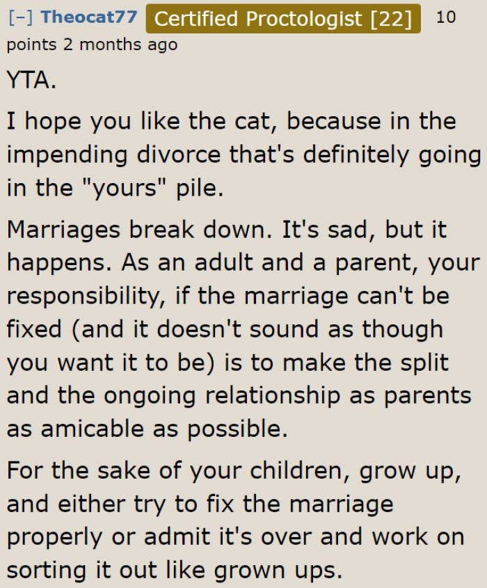 She needs to take responsibility for the cat if a divorce happens.