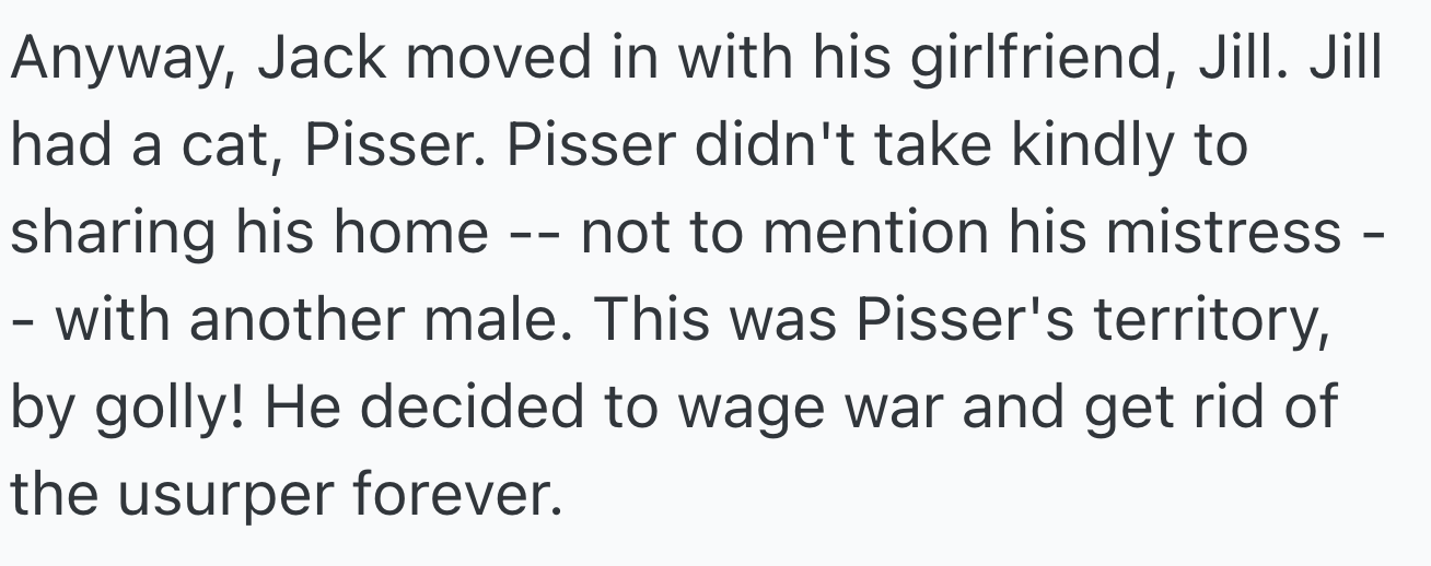 Jack moved in with his girlfriend, Jill, who had a cat named Pisser. Pisser disliked sharing his domain and his owner with another male, viewing Jack as an intruder and deciding to declare war to drive him away.