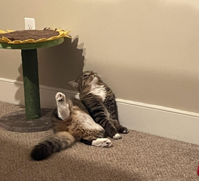 5. "He sits like this every single day."