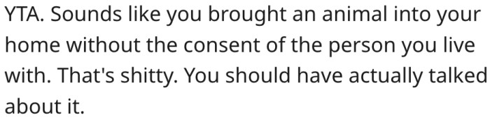 9. It makes no sense to get a pet without consent from others you share a home with.