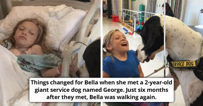 Service Dog Changes Teen’s Life After Teaching Her To Walk Again