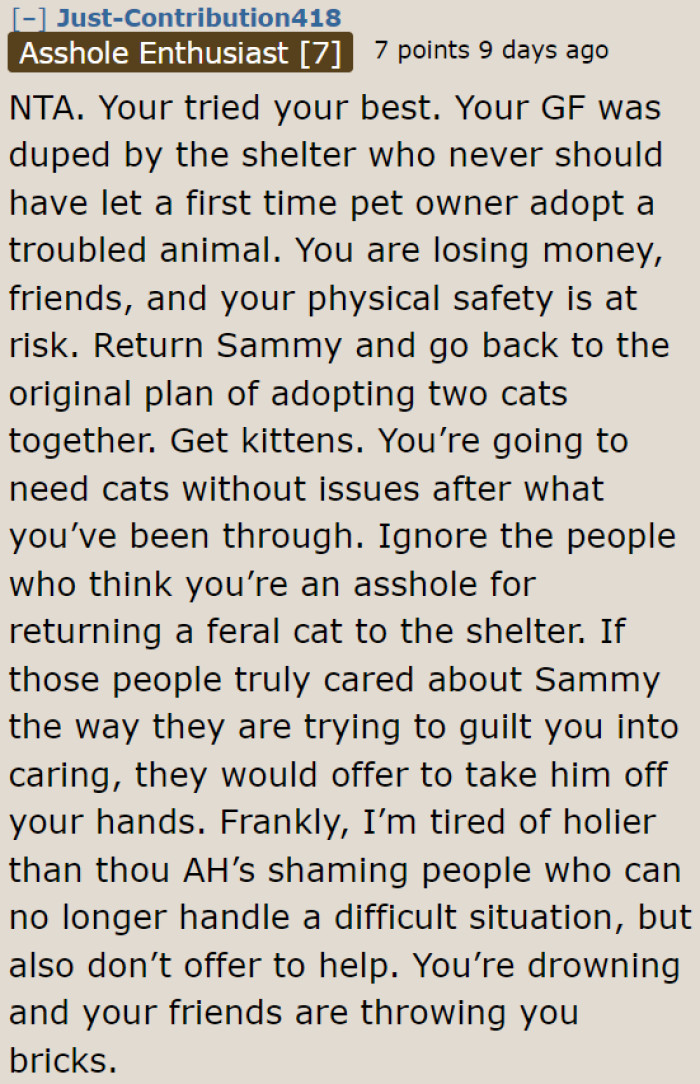 It's time to take back Sammy and adopt two kittens. Things will be easier for the both of them, provided they train the cats properly.
