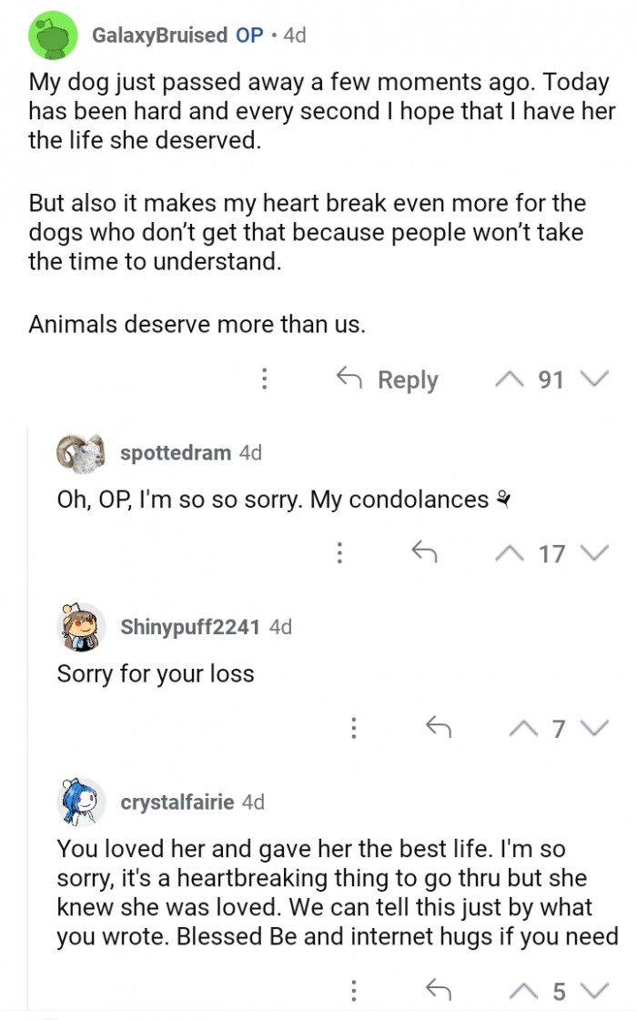 #14 Animals deserve MORE.