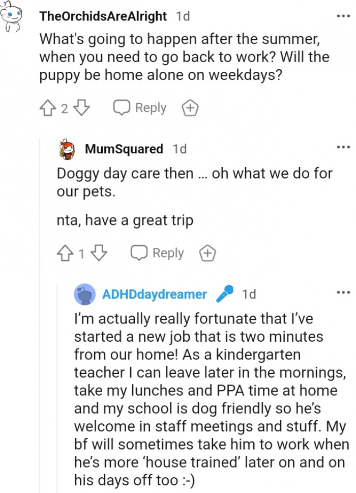 15. What do we do for pets???