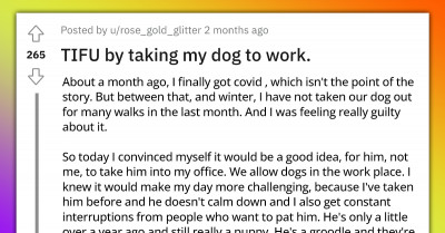 Redditor Who Took Dog To Work Regrets It As She Experiences One Of The Worst Days Of Her Life