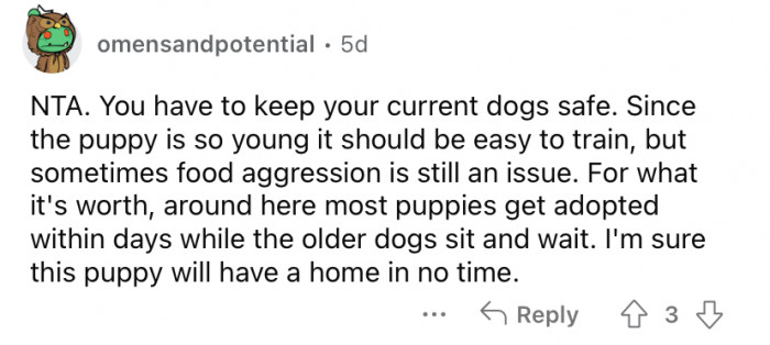 "You have to keep your current dogs safe."