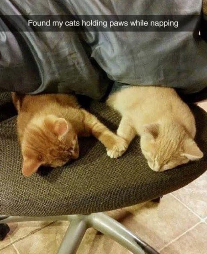 24. This is just the most adorable thing.