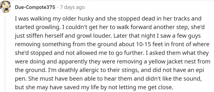 This could've been dangerous: