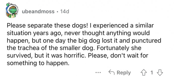 "Please separate these dogs!"