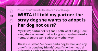 Conversation Ends As Man Who Wants Purebred Dog Tells His Partner That Any Stray Dog She Adopts Is Hers Alone, Redditors React