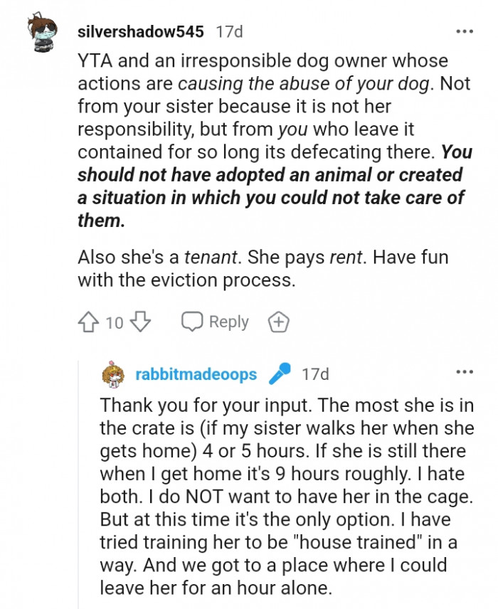 An irresponsible pet owner whose actions are affecting the dog