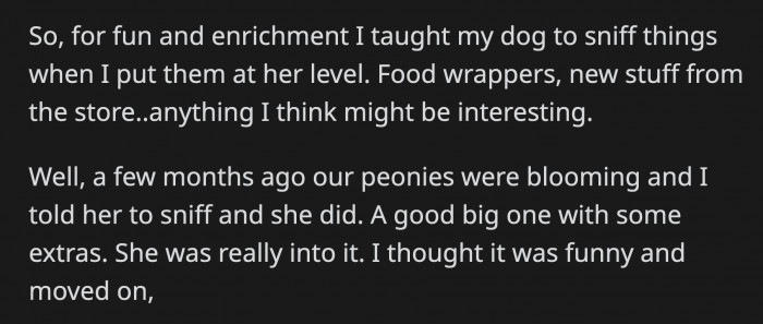 You can read the absolutely adorable story below: