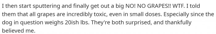 OP told them about how toxic grapes are, especially for small dogs. Thankfully, they both believed them.