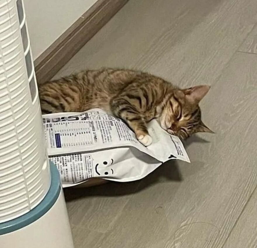 Guarding the snacks in his sleep.