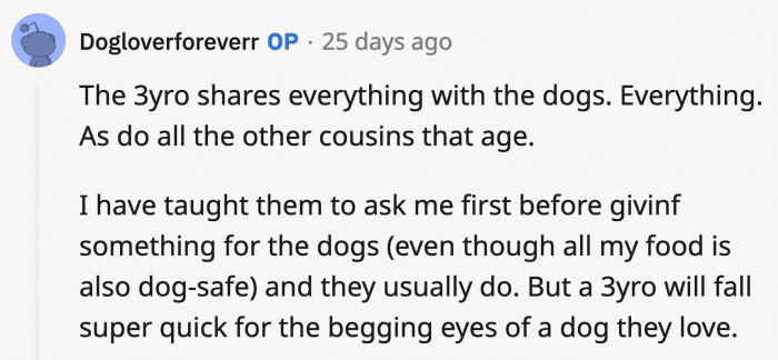 See, OP even taught the kids what they should do if they want to feed the dogs. Like what a responsible adult should do.