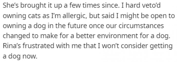 OP is allergic to cats, and he believes that the time isn't right for a dog