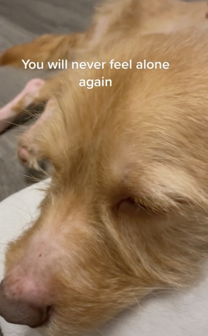 He will no longer be anxious about being abandoned