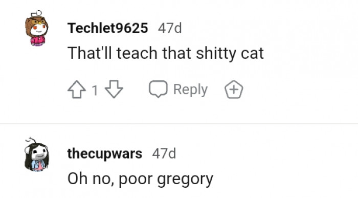 12. The poor kitty cat