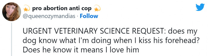 14. A legit question