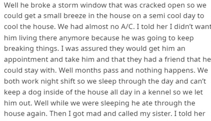 The dog was causing chaos around the house due to his anxiety, and OP eventually grew tired of it.
