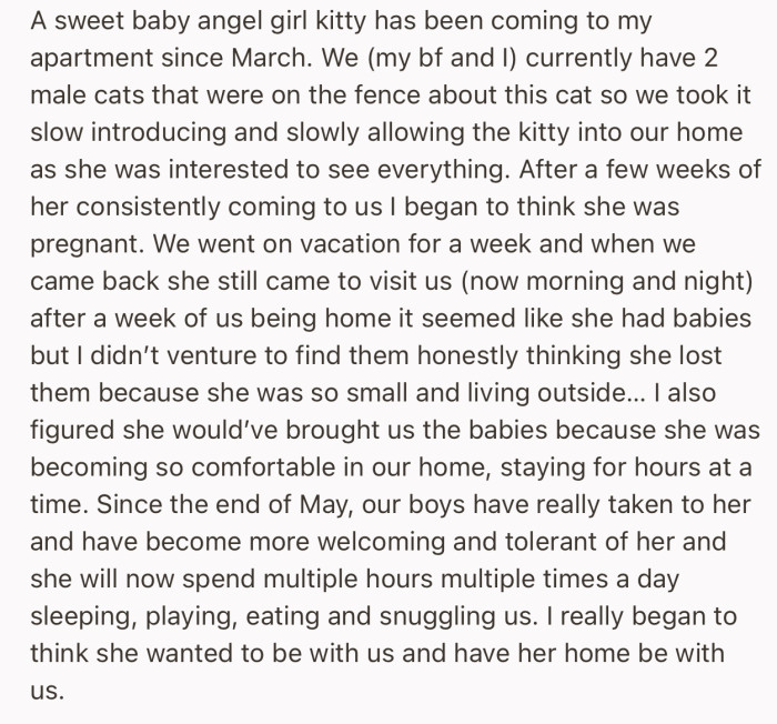 OP and her boyfriend were getting regular visits from a female cat. Over time, they socialized it with their own cats, and it became a family friend