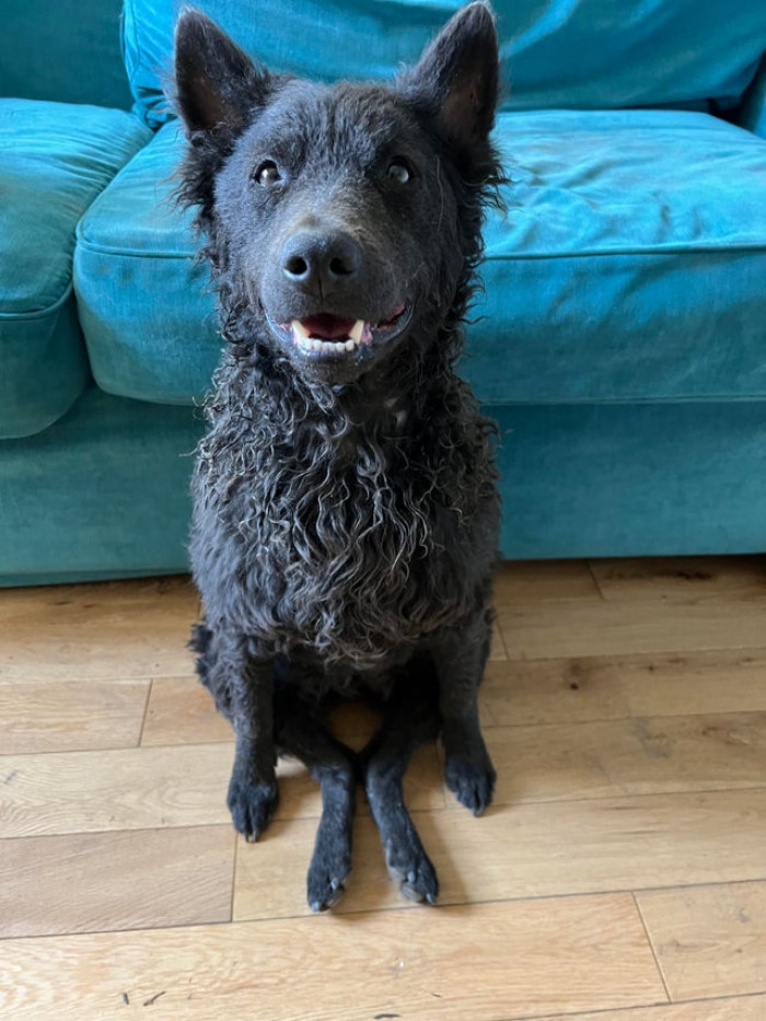 2. Seriously. This is how he sits. All. The. Time.