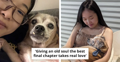TikTok Users Share Their Pet Adoption Stories and These 21 Will Absolutely Wreck You