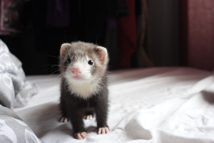 7. I Think This Is The Only Time She's Stood Still For Me To Take A Photo. Baby Socks