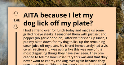 Friend Calls Out Kitchen Hygiene After Watching Dog Lick A Plate
