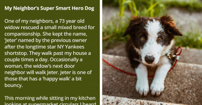 Tiny Rescue Dog Alerts The Neighbor And Saves His 73-Year-Old Owner When She Had A Stroke