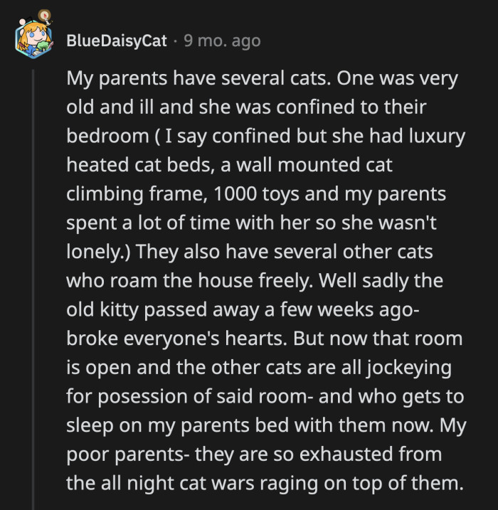23. Solution: parents move out of the room, and all of the cats move in.