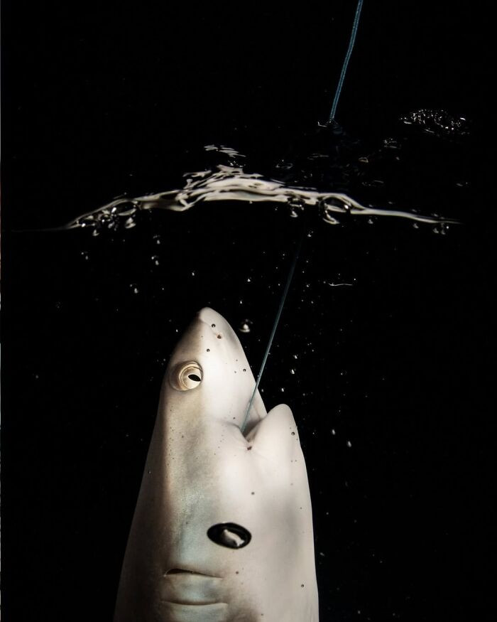 1st Place Ocean Portfolio Award 2023 - Sirachai Arunrugstichai