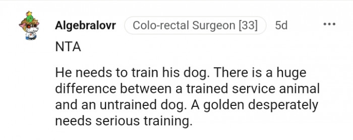A golden retriever needs serious training