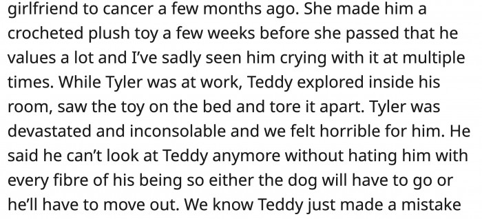 Then, when the toy with so much meaning for Tyler got torn apart, he asked them to make a decision