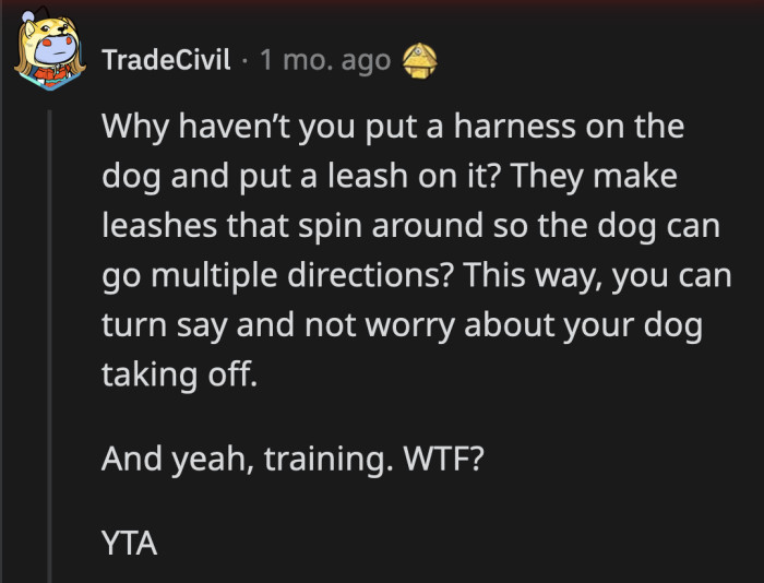 If the fence doesn't deter the dog, why stop there at finding solutions? OP is a lazy dog owner.