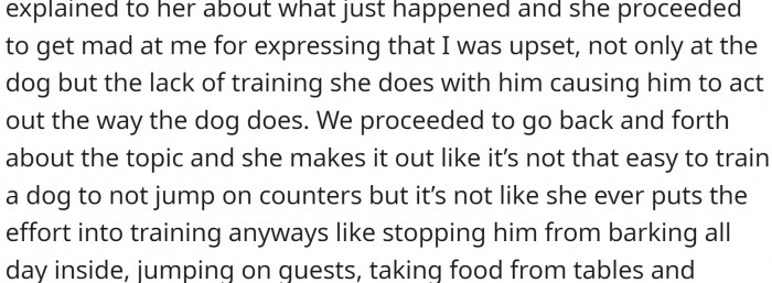 OP was upset, and they started yelling at the dog. Their mom came when she heard the noise and started arguing with OP.
