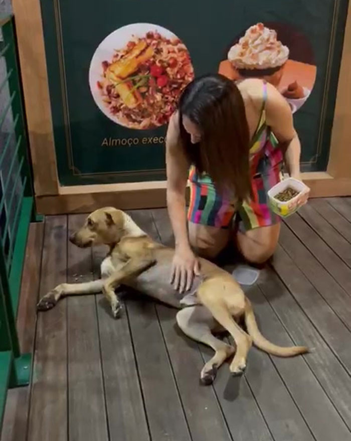 He receives lots of pets and attention