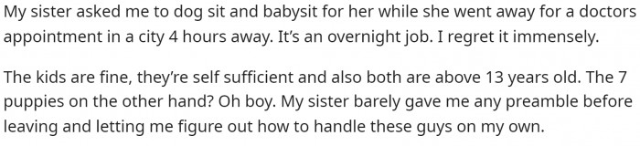 OP begins explaining this by telling what they're doing, how old the kids are, and more information.