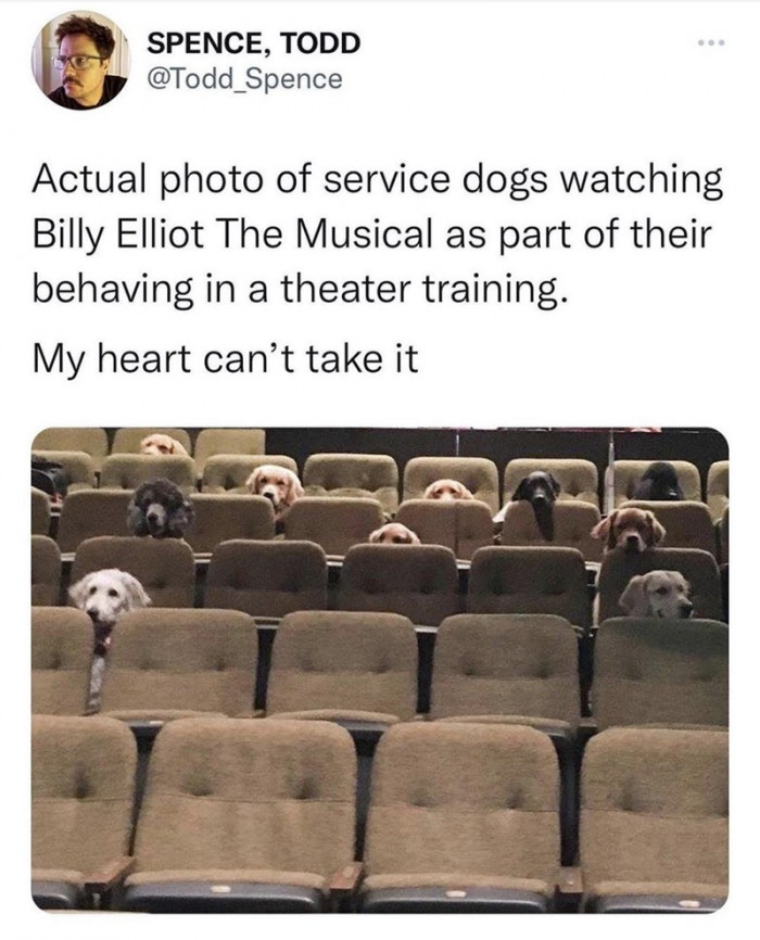 13. Can your heart actually take this?