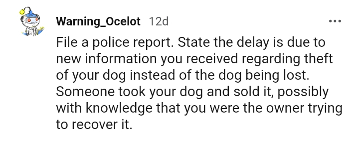 Someone Might Have Taken the OP's Dog
