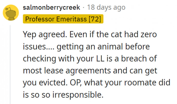 7. They should also get the cat registered with the landlord so they don't all get into trouble