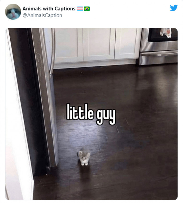 7. He might be a little guy, but he definitely knows how to put a smile on your face