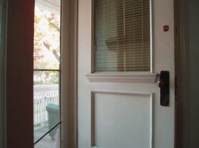 The woman accidentally left the back door open only to stumble upon a delightful surprise