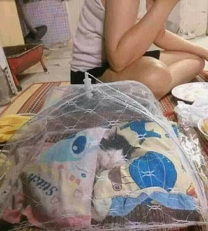 22. My pet deserves to be comfortable