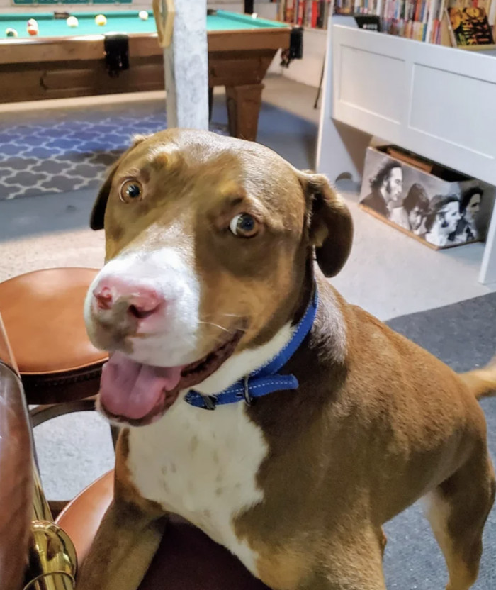 We certainly love to see it