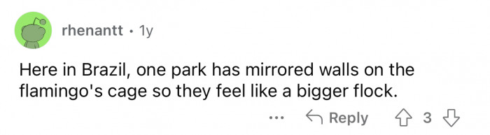 They even put mirrors in their cages for private sessions.