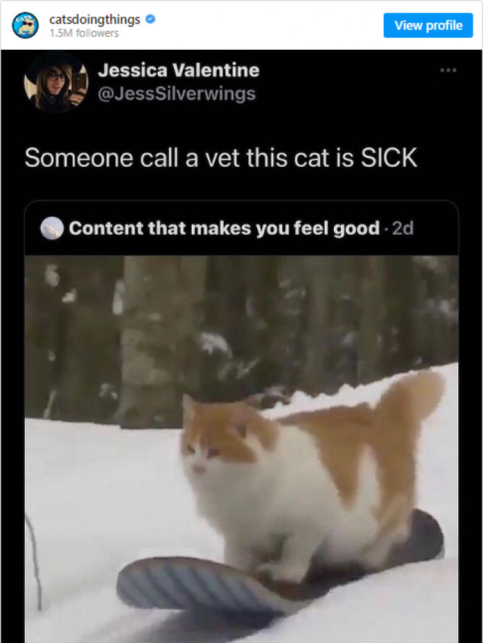 21. It's better that he's shredding slopes instead of couches, and it is content that makes us feel good.